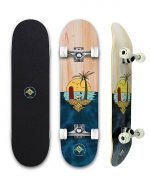Shark Street Skateboards - Back to School Product - Image 3